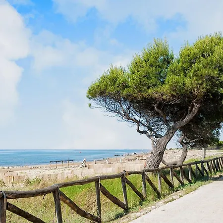 Apartment Beachfront, Modern Flat With Lovely Garden *